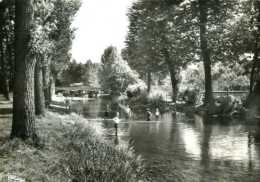 Argent Sur Sauldre : Jeunes Pêcheurs Sur Les Bords De La Sauldre (18) - Argent-sur-Sauldre