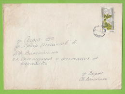 210013 / 1985 - 5 St. - FLOWERS RAMONDA SERBIKA , VARNA - SOFIA , Bulgaria Bulgarie Bulgarien Bulgarije - Covers & Documents