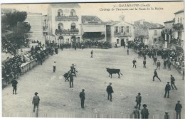 Gard : Gallargues, Course De Taureaux Sur La Place De La Mairie, Belle Animation - Gallargues-le-Montueux