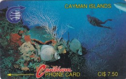 Cayman Islands, CAY-3A, Diver In Reef - Old Logo, No On Grey Strip, 2 Scans.  3CCIA - Iles Cayman