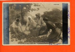 Salon De 1905 "les Ramasseurs De Citrons" -Laurent Gsell -  Art Peinture Et Tableaux ( écrite) - Malerei & Gemälde