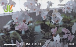 Jamaica, 11JAMD, $100, White Orchids, Flowers, 2 Scans. - Jamaica