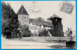 CPA 21 Château De Gevrey-Chambertin ° L. V. édit. - Gevrey Chambertin