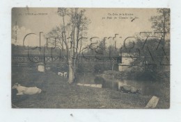 L´Isle-sur-Serein (89) : Le Pont De Chemin De Fer Pris De Terrain D´élevage En 1916 (animé) PF - L'Isle Sur Serein