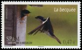St Pierre Et Miquelon 2012 - Faune, Oiseau, La Becquée   - 1val Neufs // Mnh - Neufs