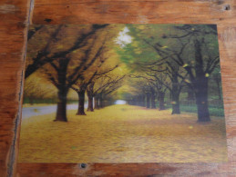 3D Postcards    Big Format Nature, Avenue Trees - Arbres