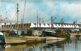 Delcampe - TC-16- 1596 : LORIENT - Lorient