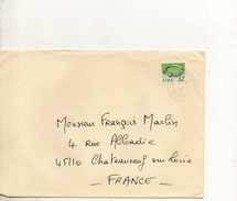 IRLANDE ENVELOPPE POUR CHATEAUNEUF SUR LOIRE - Lettres & Documents