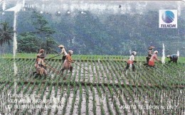 Indonesia, S210, Kegiatan Petani (Farmers Activity), Subang, 2 Scans. - Indonesien