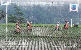 Indonesia, S210, Kegiatan Petani (Farmers Activity), Subang, 2 Scans. - Indonesia