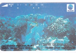 Indonesia, S153, Mtq, Terumbu Karang (Coral Reef), Yamdena Island, Tanimbar, South., 2 Scans. - Indonésie