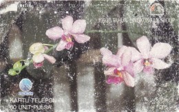 Indonesia, S165, Anggrek Phalaenopsis (Phalaenopsis Orchid), 2 Scans.  Bad Condition - Indonesien