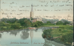 GB SALISBURY / Salisbury Cathedral From The River / COLORED CARD - Salisbury