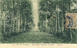 SÃO S. TOMÉ, THOMÉ, ILHA DO PRINCIPE, Roça Nova Estrella, 2 Scans - Sao Tome Et Principe