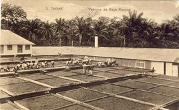 SÃO S. TOMÉ, THOMÉ, Varreiro Da Roça Roruna, 2 Scans - São Tomé Und Príncipe