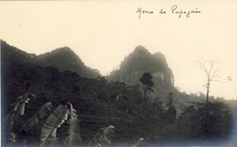 SÃO S. TOMÉ, THOMÉ, Roça Do Papagaio, 2 Scans - Sao Tome And Principe