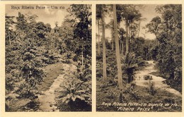 SÃO S. TOMÉ, THOMÉ, Roça Ribeira De Peixe, O Rio, 2 Scans - São Tomé Und Príncipe