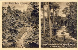 SÃO S. TOMÉ, THOMÉ, Roça Ribeira De Peixe, O Rio, 2 Scans - Sao Tome Et Principe