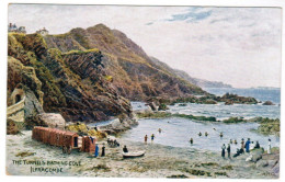 Ilfracombe, The Tunnel's Bathing Cove (pk30218) - Ilfracombe