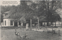 AK Gasthaus Baude Batzenhütte Bei Niederoderwitz Oderwitz Eibau Zittau Leutersdorf Spitzkunnersdorf Ruppersdorf Herrnhut - Herrnhut