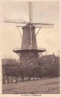 Stabroek, De Molen - Stabroek