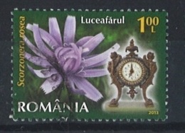 ROMANIA 2013 Flowers & Clocks – Scorzonera Rosea Postally Used MICHEL # 6674 - Usati