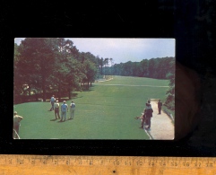 VIRGINIA BEACH : CAVALIER HOTEL GOLF CLUB Country Club 18 Hole Golf Course Green Golfer - Virginia Beach