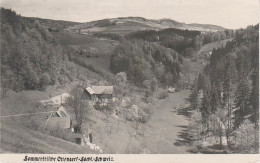 AK Sächsische Schweiz Ottendorf Bei Kirnitzschtal Hinterhermsdorf Lichtenhain Räumicht Schandau Sebnitz Saupsdorf - Hohenstein-Ernstthal