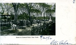 NEW YORK ---SCENE IN CENTRAL PARK - Central Park