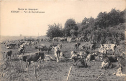 27-BERNAY- CARTE PHOTO -  PARC DE RAVITAILLEMENT - GUERRE DE 14 /15/16 - Bernay