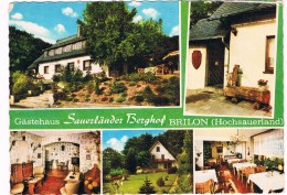 D6535    BRILON : Gästehaus Sauerländer Berghof - Arnsberg