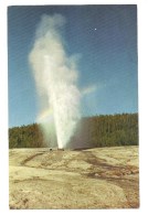 Beehive Geyser - Yellowstone National Park - Erupts To Heights Of Over 200 Feet About Twice A Week - Yellowstone