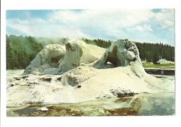 Grotto Geyser - Yellowstone National Park - Located In Upper Geyser Basin - Yellowstone