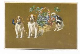 CARTOLINA CON CANI E GATTI E QUADRIFOGLI VIAGGIATA FP 1940 - Hunde