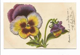 CARTOLINA PANSE' CON BRILLANTINI VIAGGIATA FP 1923 - Flowers