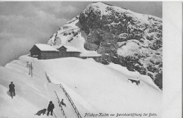 BECKENRIED → Ansicht Vom See Her Mit Buochserhorn 1905 - Buochs