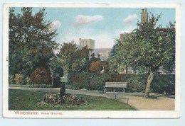 Winchester - Abbey Grounds - Peacock - Winchester