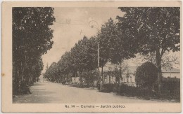 Postal Portugal - Vila Real - Carreira - Jardim Publico (Ed. Livraria Araujo Nº14) - CPA - Carte Postale - Postcard - Vila Real