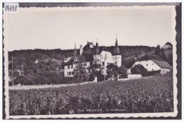 PESEUX - LE CHATEAU - TB - Peseux