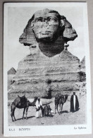 CPA Egypte Sphinx De Gizeh Chameliers - Piramidi