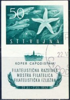 ITALIA - TRIESTE - SLOVENIA - VUJNA - PHILAT. EXHBITION - Used - 1952 - Used