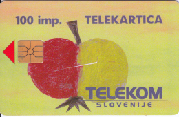 SLOVENIA SLOVENIJA PHONECARD 1995 DUET JABOLKO APPLE TELEPHONE DIRECTORY TELEKOM CAT.NO. 004 - Slovenia