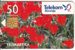 SLOVENIA SLOVENIJA  PHONECARD 1996 TULIPANI TULIPS ROZE FLOWERS FLORA   CAT. No. 015 TELEKOM - Slovenia