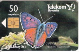 SLOVENIA SLOVENIJA PHONECARD 1997 CEKINCEK SPREMINJEVALCEK IPS METULJ BUTTERFLIES HEODES ALCIPHRON TELEKOM CAT.NO. 052 - Slovenia