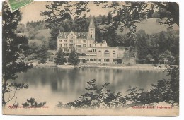 SCHLOSS- HOTEL.  HERTENSTEIN - Stein