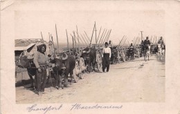 ¤¤   -   MACEDOINE  -  Carte-Photo   -  Transports Macédoniens  -  Attelage De Boeufs  -   ¤¤ - Macédoine Du Nord