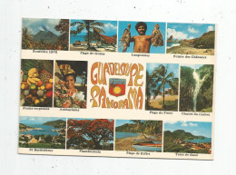 G-I-E , Cp , GUADELOUPE , Panorama , Multi Vues , Voyagée 1981 , Ed : Scandinexim N° S.096 - Basse Terre