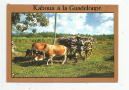G-I-E , Cp , KABOUA à La GUADELOUPE , Attelage , Agriculture , Transport De Canne à Sucre , Voyagée, Ed : Scandinexim - Attelages