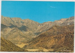 SAUDI ARABIA,ARABIE SAOUDITE,SAUDITA,ARAB EMIRATES,MONTAGNE,PRES TAIEF - Saoedi-Arabië