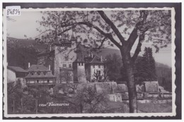 VAUMARCUS - LE CHATEAU - TB - Vaumarcus